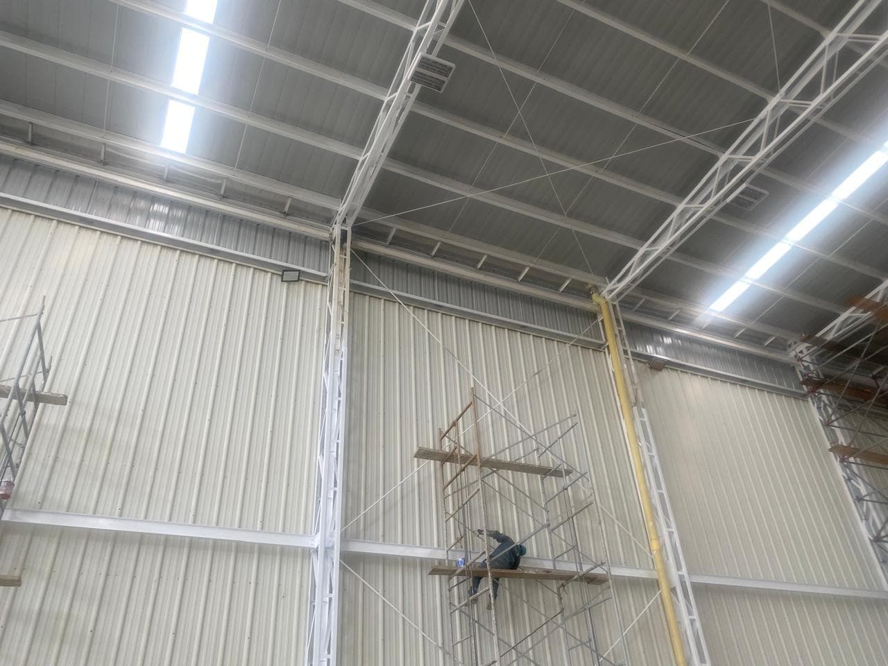 Patología Estructural